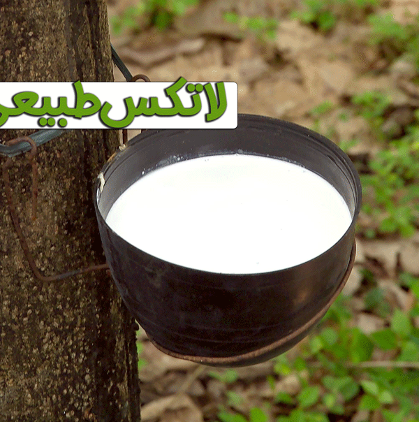 لاتکس طبیعی