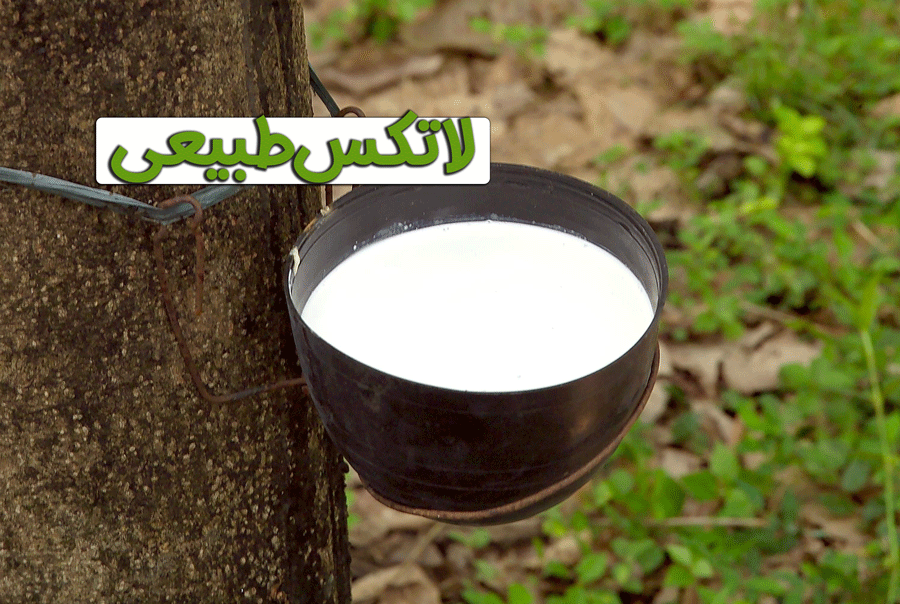 لاتکس طبیعی